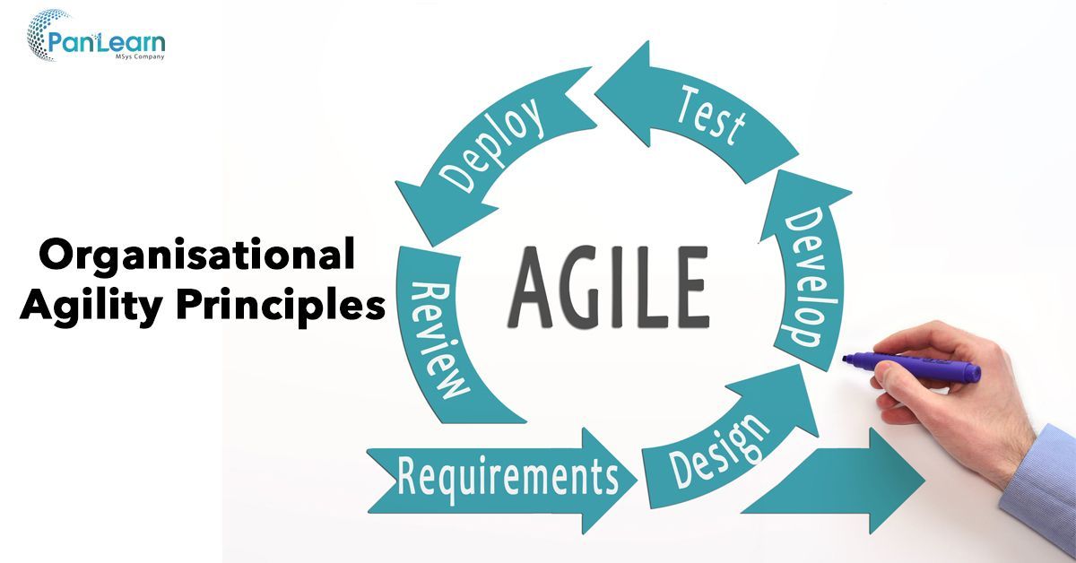 Organisational Agility Principles