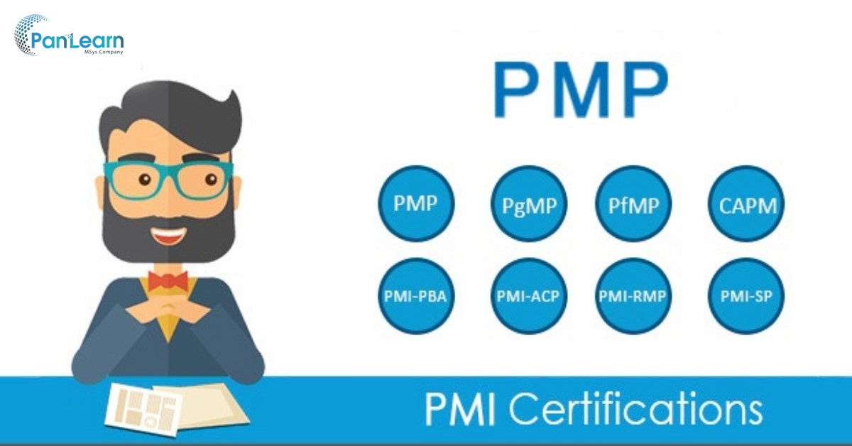 Американский институт управления проектами Project management institute pmi