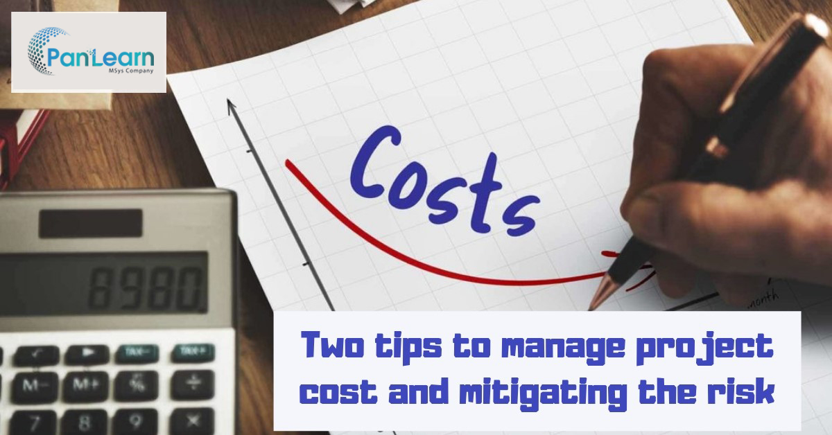 Tips to manage project cost and mitigating the risk - Pan Learn