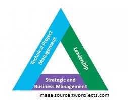 Skills for Project Manager